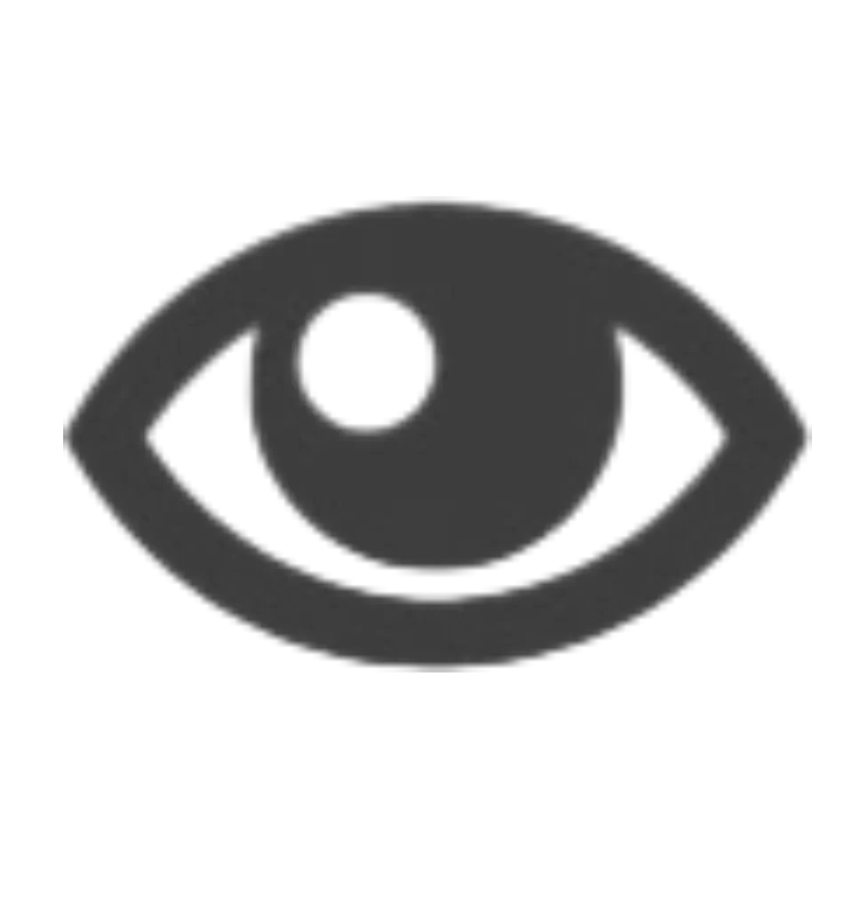 Visión de Intersoft